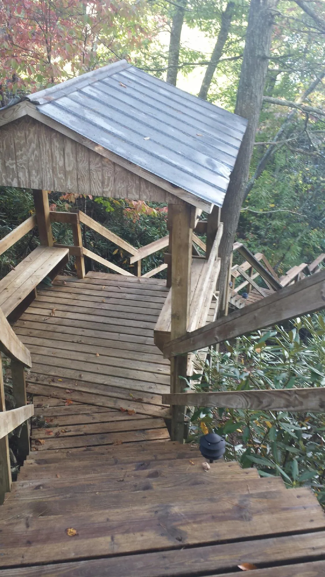 Metal roofed shelter over wooden steps on a wooded walkway in Cobb